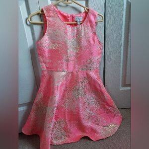 Size 14 Bright Pink Children's Place Dress